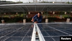 Un trabajador ajusta paneles solares en un parque en las afueras de La Habana el 24 de septiembre de 2013. (REUTERS/Stringer/Archivo)